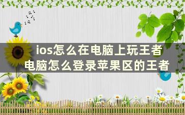 ios怎么在电脑上玩王者 电脑怎么登录苹果区的王者